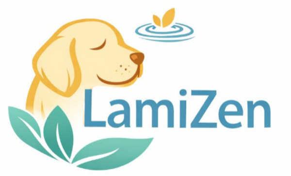 LamiZen