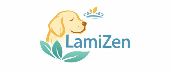 LamiZen