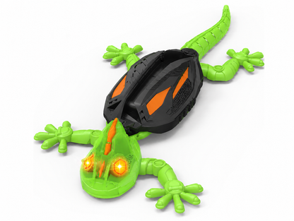 GeckoZen™ Interactive Dog Chase Toy